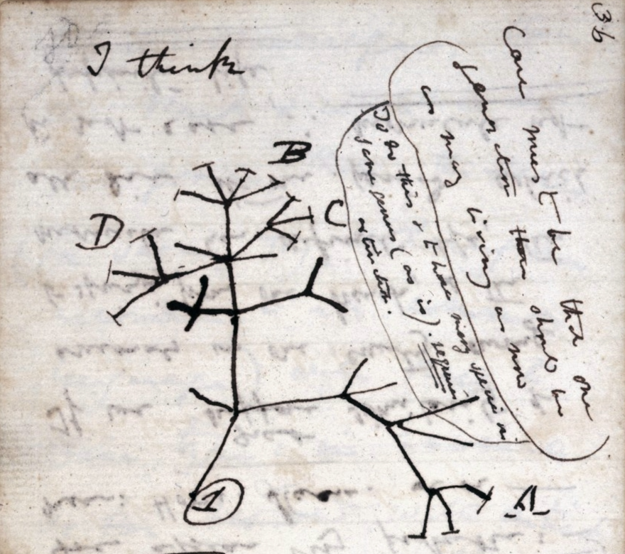For a World of Data, Virtual Field Notes